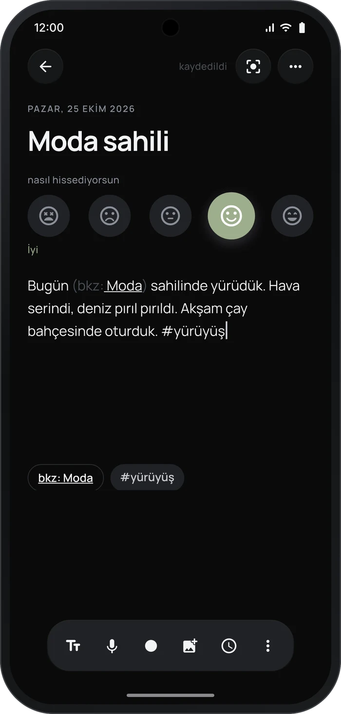 Ordinat editör ekranı